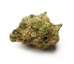 420 Compound 30/1 CA GAP